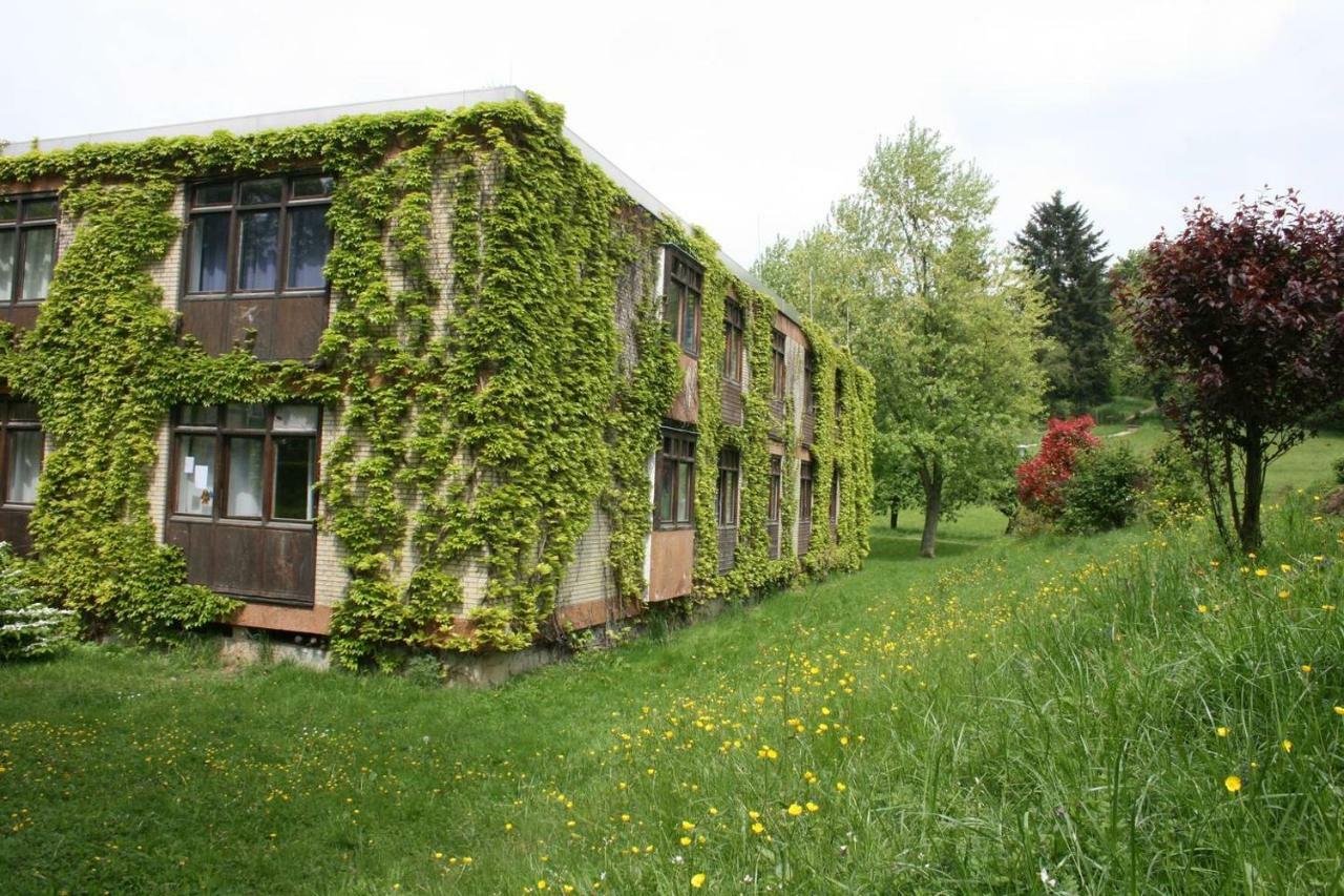 Talblick Appartement In Traumhafter Lage! Ober-Hambach Dış mekan fotoğraf