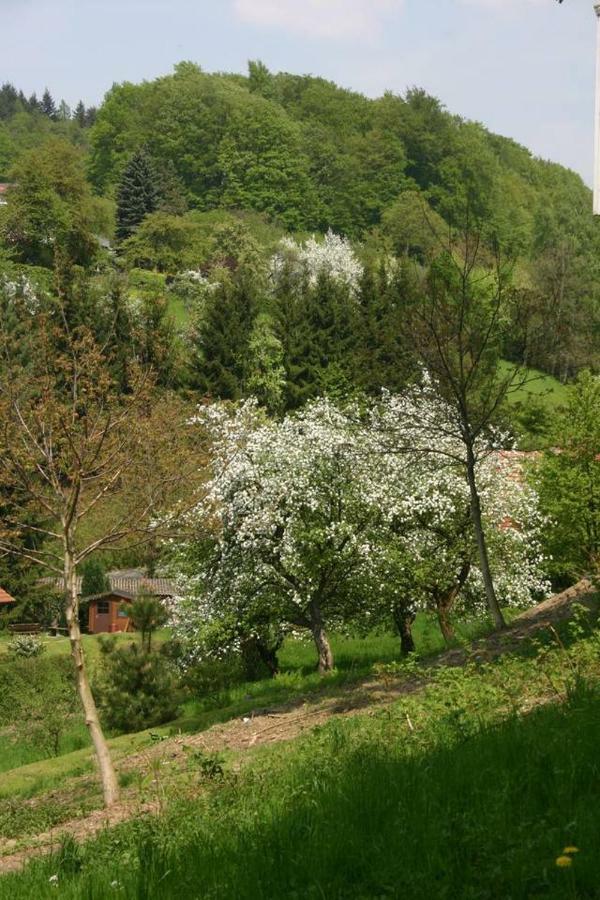 Talblick Appartement In Traumhafter Lage! Ober-Hambach Dış mekan fotoğraf