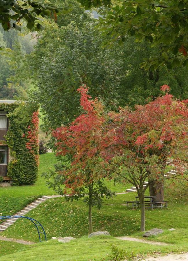 Talblick Appartement In Traumhafter Lage! Ober-Hambach Dış mekan fotoğraf